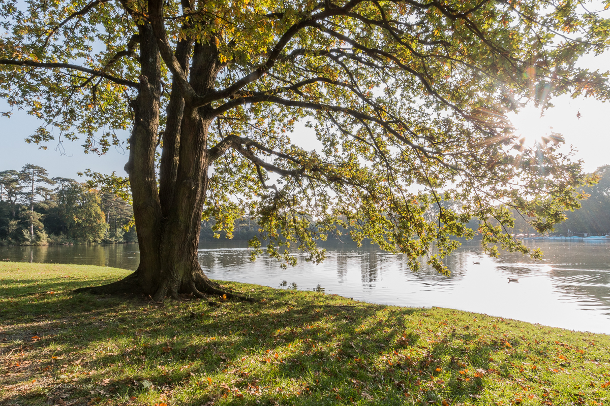 Tipps und Tricks: Der Vorteil von RAW-Dateien und der HDR-Technik