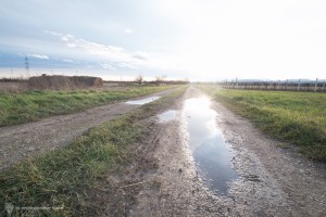 fotografieren lernen