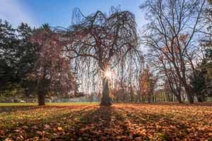 Fotokurse Wien - Workshop HDR