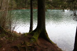 Fotokurse und Fotoworkshops mit Martin Winkler