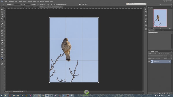 Photoshop2