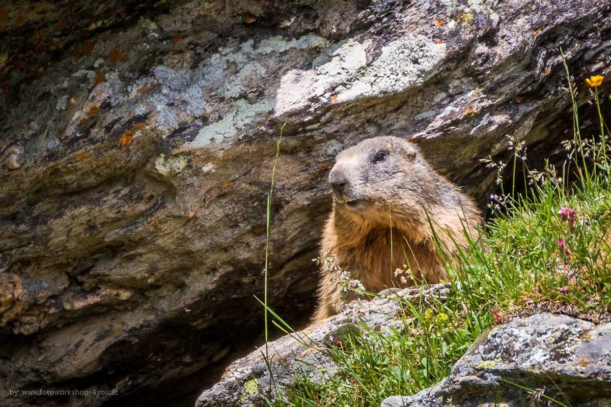 Fotohighlights aus der Schweiz #2