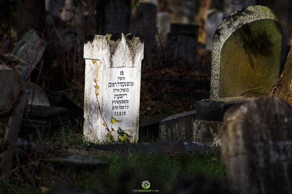 Zentralfriedhof6