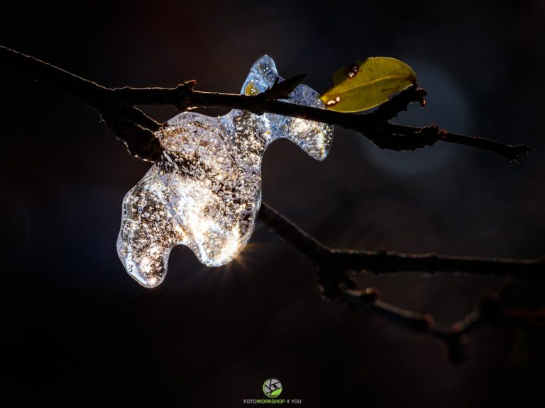 Eisdiamant