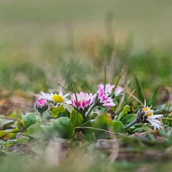 Foto Basickurs-Teilnehmer