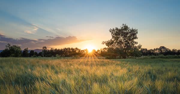 Lightroom nachher